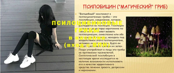 спиды Алексин