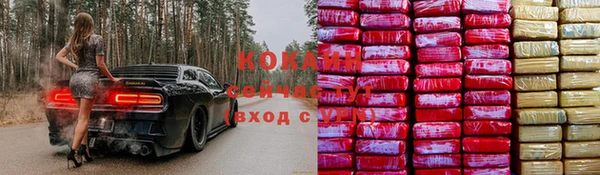 сатива Алзамай